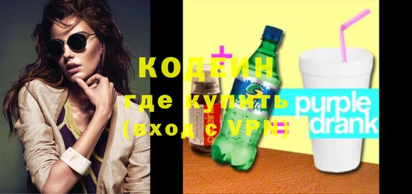гидра Корсаков