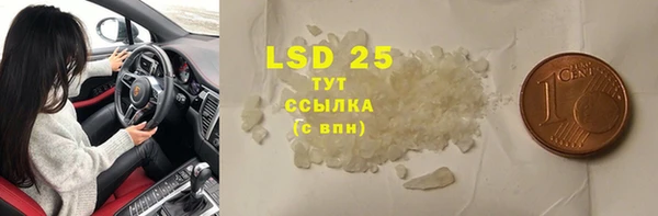гидра Корсаков