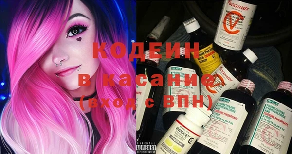 сатива Козловка