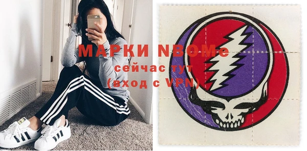 сатива Козловка