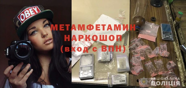 сатива Козловка