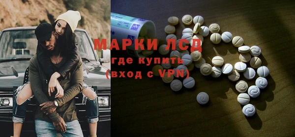 гидра Корсаков