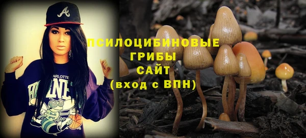 мяу мяу мука Коряжма