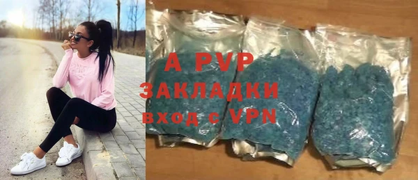гидра Корсаков