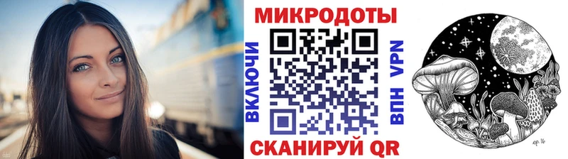 Галлюциногенные грибы Psilocybine cubensis  Медногорск 